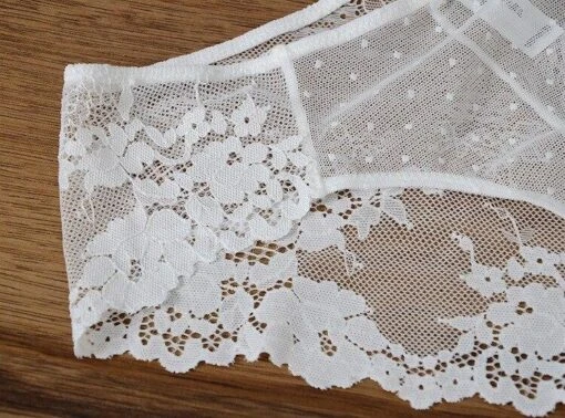 Floral Spitze Höschen -Mode Dessous Geschäft braguitas encaje floral sin costuras pasarelle 4