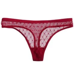 Tanga Transp Spitze -Mode Dessous Geschäft tanga transp encaje pasarelle 5