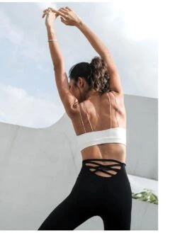 Top-Favorit -Mode Dessous Geschäft top favor pasarelle 655404